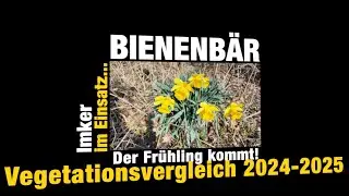🌸 Vegetationsvergleich 2024-2025 mit Gr&uuml;nlandtemperatursumme #imkern #Obstbl&uuml;te #bl&uuml;ten