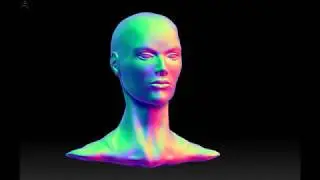 Anatomy of the face - Sculpture 3D - Zbrush - Anatomy