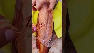 Коптили рыбу.Домашнее-лучшее #таньманьвань