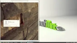 VirtualBox Shared Folders on Linux Mint #10