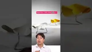 Expensive chairs that SUCK pt 1
