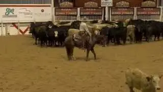 Junie Wood and John Mitchell &mdash; 2015 NCHA Super Stakes Open Champions