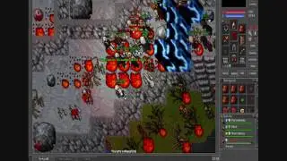 Tibia  Bezwola