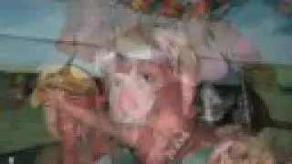 Savannah Parrot Head Club Slideshow