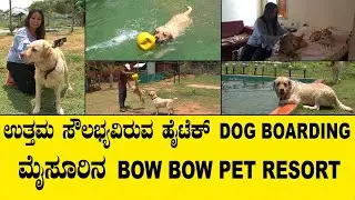 ಇವರ ಮನೆಯೇ DOG BOARDING..ಇಲ್ಲಿ ಯಾವ ನಾಯಿಗಳಿಗೂ ಕೂಡ CAGEನಲ್ಲಿ ಇಡುವುದಿಲ್ಲ..MYSORE DOG BOARDING VIDEO