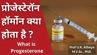 प्रोजेस्टेरॉन हॉर्मोन के बारे में जानकारी | Progesterone Hormone
