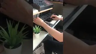 Roland SH-09 synthesizer deep diving HD sound