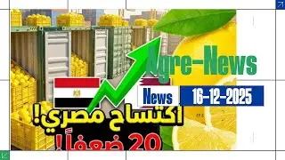 قفزة تاريخية.. كيف اكتسح الليمون المصري أسواق قطر وأزاح تركيا وفيتنام؟