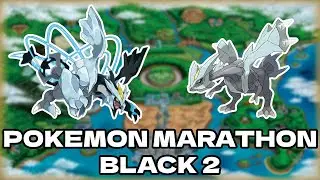 Pok&eacute;mon Marathon: Pok&eacute;mon BLACK 2 DAY 7