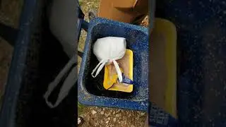 Keep Your Bins Clean! - Maggot Filled Trash Bin