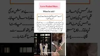 Zain areeba❤️ Teri sitamgari by Husny Kanwal romantic Urdu novel #lovestory #trending #viralvideo