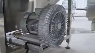 automatic vegetable salad cleaning cutting processing machine