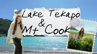 lupins at lake tekapo | is mt. cook even real? | new zealand vlog