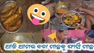 ଆଜି ଆମର ବଚା ମାଛକୁ ଫାର୍ସି ମାଛ@Preety-n7n