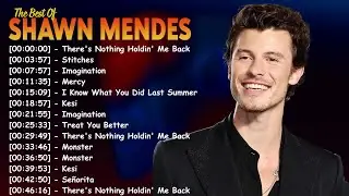 Treat You Better &ndash; Shawn Mendes Lyrics | Hollywood Pop Song | Old But Gold