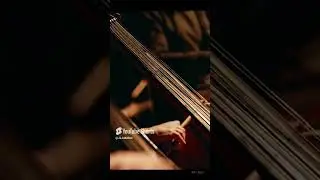 Seven Strings  The Secret to Enchanting Harmonies