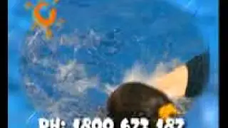 Narellan Pools Commercial - Jingle Ad