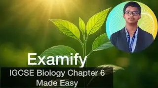 IGCSE Biology Revision: Chapter 6 | Plant Nutrition Made Easy | 2025-28 Syllabus