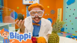 Blippi Visits an Orange Farm - Sink or Float with Fruit! | Blippi | Funny Cartoons & Songs for Kids