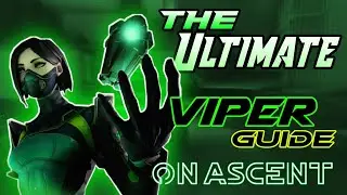 The Ultimate Viper Guide On Ascent! | Whiz |