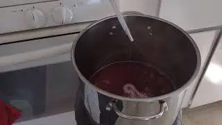 Steam juicing plums