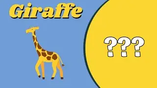 What Do Animals Eat? | Easy & Fun English Learning | Flashcard | Tole Classroom