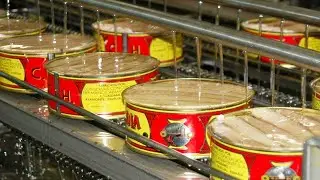 How Is Canned Tuna Made?🎣 Amazing Modern Canned Tuna Production Process!