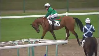 Prix Arqana - C Élite Plat - Deauville 