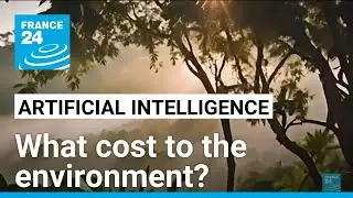 &lsquo;Exhausting critical resources: The environmental cost of AI &bull; FRANCE 24 English