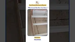 Chennai&rsquo;s Most Trusted Pest Control &ndash; Crystal Clear Pro! 100% Safe & Long-Lasting Solution