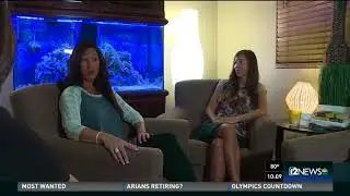 Jeff Flake's family reacts to the senator's choice not to seek re-election