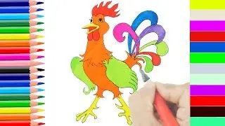 Learn How to Draw & Color Rooster Step by Step