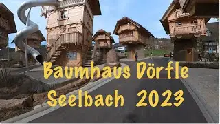 🌳🏠 Baumhaus D&ouml;rfle Update - Seelbach 13.3.2023