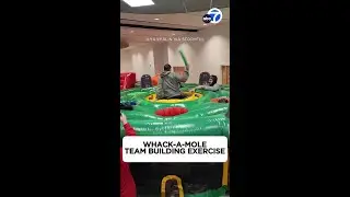 Whack-A-Mole team building exercise
