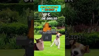Arten von Leuten bei Hitze im Sommer #katzenvideos  #sommer  #hitze