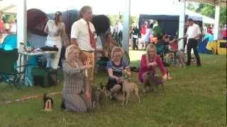 Speciality2012: ♂ (M), open class - offene Klasse - открытый класс