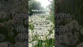 What Does NEW Life In Christ REALLY Mean? #christ #creation #verse #fyp #shorts #reels #corinthians