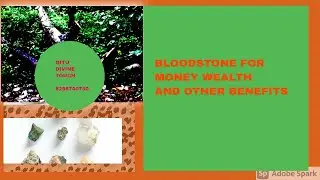 Bloodstone  for wealth, for money, bloodstone Crystal benefits,  Gitu Mirpuri 8208740750.