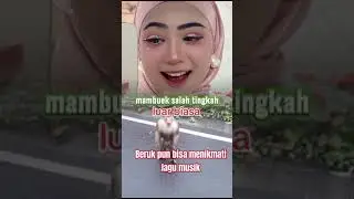 Beruk liar turun ke jalan ikut bersantai #monkey #monpai #funny #animals #viralvideo#faizianforever