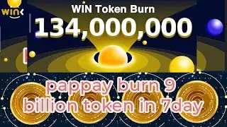 win token burn 134,000,000 |pappay burn 9billion |