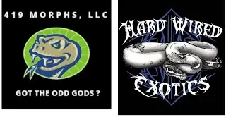 419 Morphs Podcast. Ep. 3 Welcome HARDWIRE EXOTICS