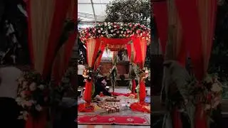 MANDAP. setup