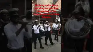 Nothing quite like a Wedding second line happening in the French Quarter of New Orleans.