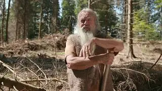 Waldsterben aus 