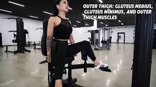Professional-grade hip adduction/abduction trainer&mdash;&mdash;Inner Thigh/outer Thigh#thighexercises #hip