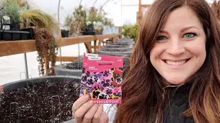 Planting Pansy Seeds! 🌿// Garden Answer