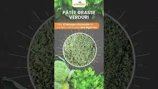 Notre P&acirc;t&eacute;e grasse Verduri