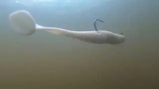 FISHING DRUGS Gangsta minnow | BS-FISHING.COM