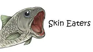 Why It Sucks to be Born a Garra Fura (Doctor Fish)