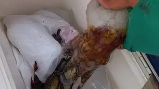 short time fishing